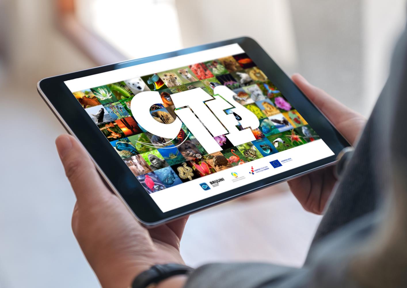 Tablet applications - Pandopad